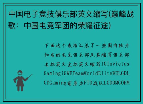 中国电子竞技俱乐部英文缩写(巅峰战歌：中国电竞军团的荣耀征途)